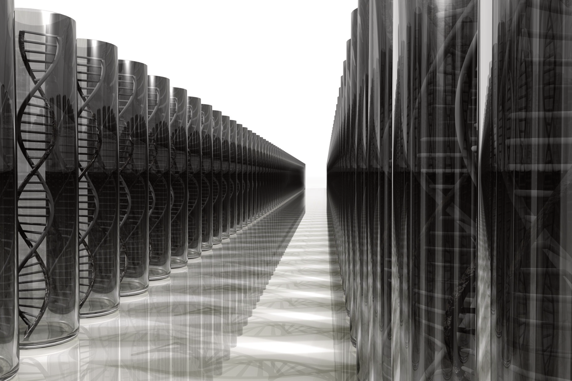 De.Yuan Enterprises genetics